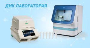 ДНК-тестирование